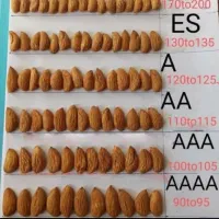 کوددهی زمستانه بسیار مهم برای افزایش باردهی