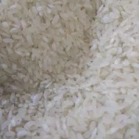 برنج کامفیروزی نورسید|خوردنی و آشامیدنی|شیراز, شریف‌آباد|دیوار
