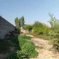 فروش زمین باغ ویلا 1000متری با امتیاز آب و برق