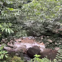 کلبه جنگلی کنار رودخونه ارتفاعات|اجارهٔ کوتاه‌مدت ویلا و باغ|ماسال, |دیوار