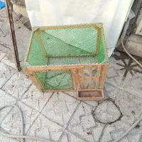 کف سه مرغ