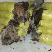 پشم گوسفند رنگی اعلا