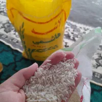 هاشمی|خوردنی و آشامیدنی|شاندرمن, |دیوار