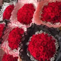 روز مادر توزیع گل نرگس و رز مناسب|گل و گیاه طبیعی|بیرجند, |دیوار