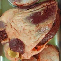 جگرشتر گوشت شیرشتر شتر جگر دوغ شترمرغ تازه دل شیر|خوردنی و آشامیدنی|تهران, چیذر|دیوار