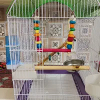 قفس پرنده همراه تمامی لوازم