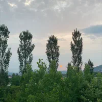 زمین مسکونی