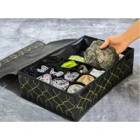 نظم دهنده کشو