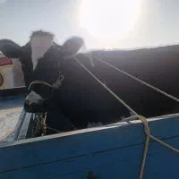 وانت نیسان وانت بارکرایه|خدمات حمل و نقل|شهرکرد, |دیوار