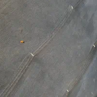 مبل کاناپه ۵ نفره / میز جلو مبلی|مبلمان خانگی و میز عسلی|رویان, |دیوار