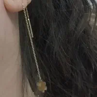 پیدا شدن گوشواره