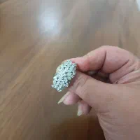 انگشتر چهل تاج|جواهرات|قم, شهرک مهدیه (مدرس)|دیوار