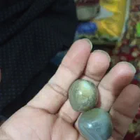 مهرهای سلیمانی نر و ماده هستن|بدلیجات|اهواز, فرهنگ شهر|دیوار