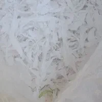 سفره یکبار مصرف کندور شده