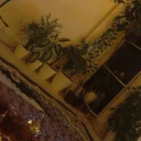 همخانه