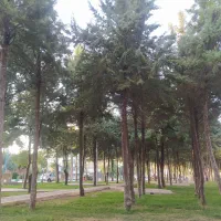 آپارتمان تختی بهترین نقطه شهر زیر چغا با ۴۵۰وام|فروش آپارتمان|بروجرد, |دیوار