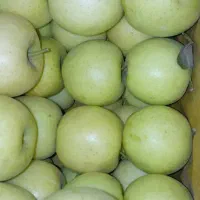 سیب|خوردنی و آشامیدنی|سیلوانه, |دیوار