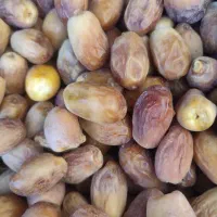 قصب زاهدی|فعالیت داوطلبانه|شیراز, مسلم|دیوار
