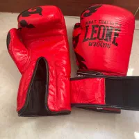 دستکش بوکس|تجهیزات ورزشی|ساری, |دیوار