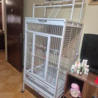 قفس مناسب طوطی های بزرگ جثه