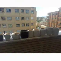 فروش گلدان سرامیکی