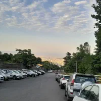 پخش تراکت