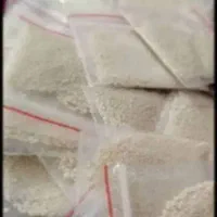 پودرشپش