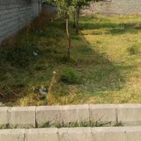 فروش زمین مسکونی در روستای جمال آباد|فروش زمین و ملک کلنگی|قصابه, |دیوار