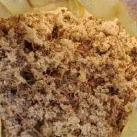 بذر دکمه ای