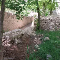 زمین مناسب ساخت ویلا و خونه باغ ۲۵۰متر|فروش زمین و ملک کلنگی|سرولایت, |دیوار