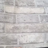 کاغذ دیواری ونقاشی ساختمان|خدمات پیشه و مهارت|پارسآباد, |دیوار