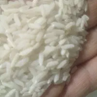 برنج ایرانی طارم در تبریز نظام پزشکی