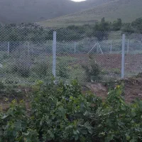 فنس کشی.  نصب پایه انگور.   چاله کنی.  ساخت استخر|خدمات باغبانی و درختکاری|همدان, |دیوار