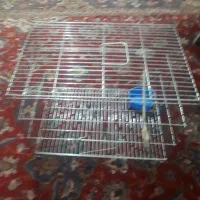 قفس|لوازم جانبی حیوانات|دزفول, |دیوار