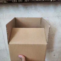 کارتن نو
