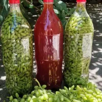 محصولات ناب خانگی