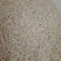 برنج طارم از مازندران.لاشه برنج یا درشت