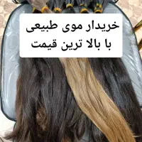 کلاه مو