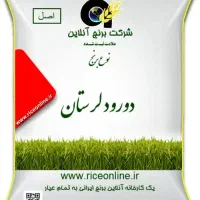 برنج محلی دورود