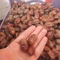 خرما.تمر|خوردنی و آشامیدنی|اهواز, دغاغله|دیوار