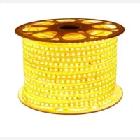 ریسه شلنگی نور مخفی