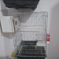 قفس پرنده