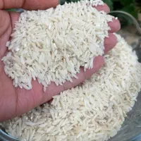 برنج دم سیاه  اعلا فارسیان