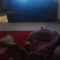 پارکینگ در شهرک طالقانی