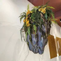 درخت جاودان بنسای دیوارسبز باغچه صخره آینه|گل و گیاه طبیعی|تهران, اکباتان|دیوار