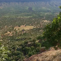 زمین میدان دلال در ابعاد مختلف توافقی