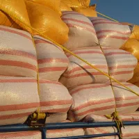 باسلام کاه خوشه گندم سفید وتمیز|عمده‌فروشی|اندیکا, |دیوار