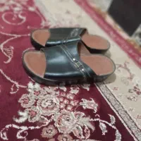 دنپایی مطراش اصل اصل بشرط