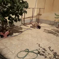 تخت سنتی آهنی