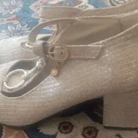 کفش نومجلسی